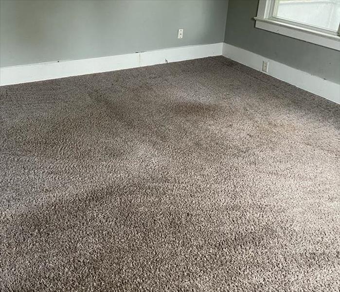 Cleaned carpet with minimal staining